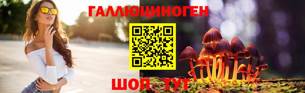 Галлюциногенные грибы Psilocybine cubensis Конаково